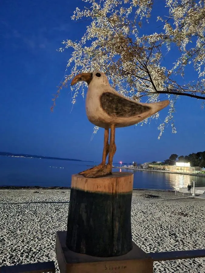 Larus Lejlighed Split